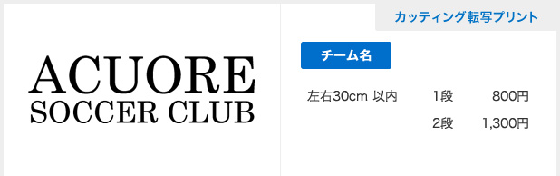 カッティング転写プリント
