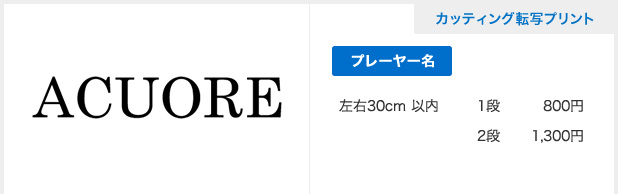 カッティング転写プリント