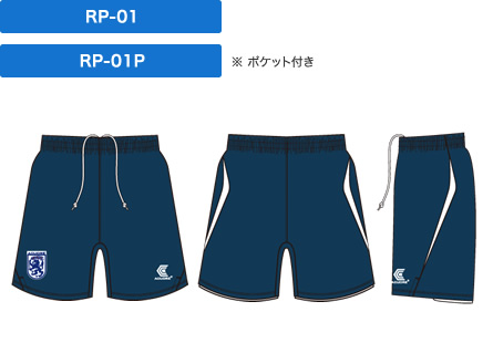 RP-01/RP-02